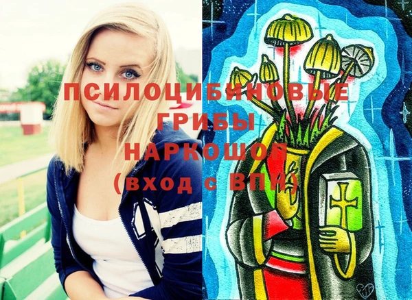 mix Алексин