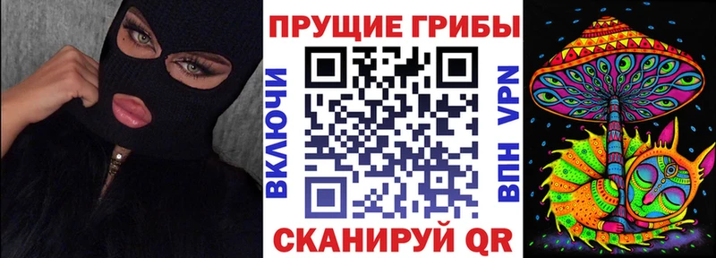 Купить закладки  Бирюч  Псилоцибиновые грибы мицелий 